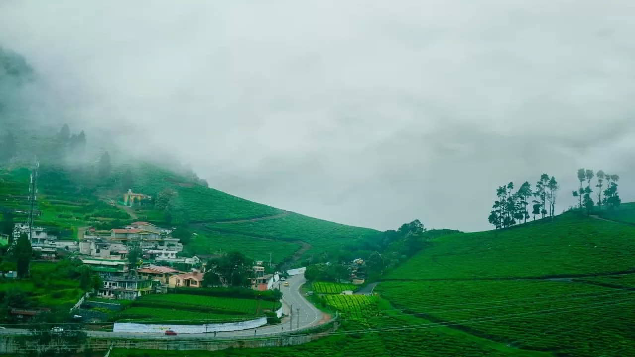 Dharmasthala to Ooty Taxi Service - 24 Hours Taxi Service Mangalore